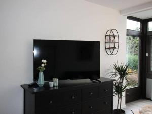 Vestidor negro con TV de pantalla plana encima en 1 Raum-Ferienwohnung am Rosenberg, en Goslar