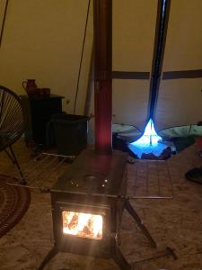 't HorntjeTipi Texel的相册照片