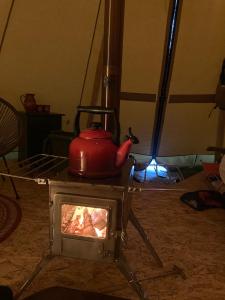 't HorntjeTipi Texel的相册照片