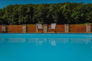 two lounge chairs sitting next to a swimming pool at Soba pri nam in Gačnik