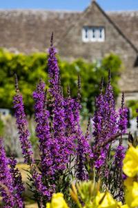 Gallery image of Peaceful and tranquil 2 bedroom Deer Cottage in Chippenham +10 photos