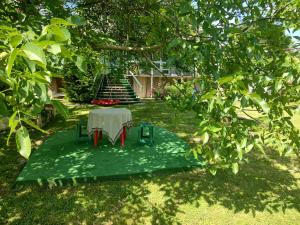 einen Tisch und Stühle unter einem Baum im Hof in der Unterkunft "Ранчо" - тераса квіти сад басейн in Uschhorod