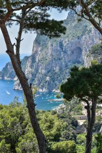 Gallery image of Villa Lia Hotel Capri in Capri