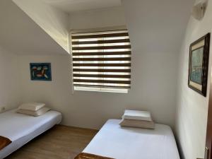 2 camas en una habitación blanca con ventana en Apartments Sun House, en Herceg-Novi