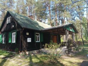 une petite maison noire avec un toit vert dans l'établissement Fantastyczny dom w lesie, à Długosiodło