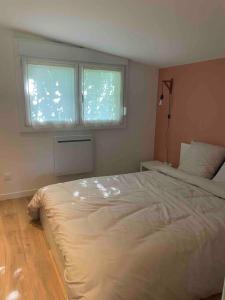 ein Schlafzimmer mit einem großen Bett und zwei Fenstern in der Unterkunft La maison du jardin in Douai