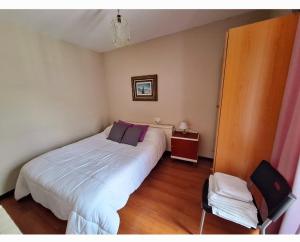 a bedroom with a large white bed and a chair at Apartahotel portal de leon in Caboalles de Abajo