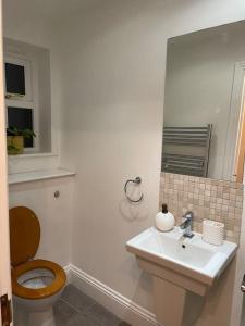 a bathroom with a toilet and a sink and a mirror at Stunning 3 bedroom House with amazing Castle view in Alnwick