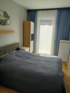 ヴロツワフにあるGreen Apartmentのベッドルーム(大型ベッド1台、窓付)