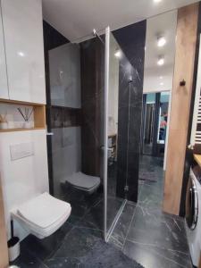 ヴロツワフにあるGreen Apartmentのバスルーム(トイレ、ガラス張りのシャワー付)