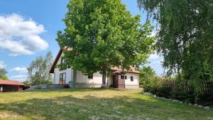 Foto dalla galleria di Wakacyjny dom nad jeziorem 16 osób Holiday house a Szałstry