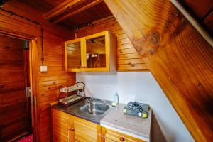 a kitchen with a sink in a wooden cabin at Complex Malina Pamporovo in Pamporovo