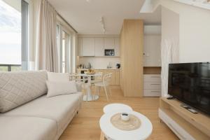 TV a/nebo společenská místnost v ubytování Lighthouse Luxury Penthouse - Jantar Apartamenty