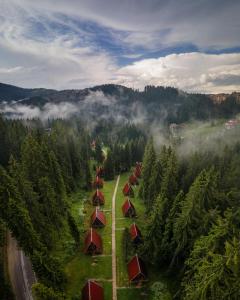 an aerial view of a forest with trees and tents at Complex Malina Pamporovo in Pamporovo