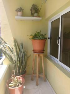 una habitación con macetas en un taburete junto a una ventana en Apartamento acolhedor na Cidade da Praia, en Praia