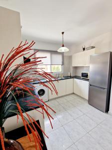 una cucina con frigorifero in acciaio inossidabile e impianto di Emma's Place, 2 bedroom apartment with pool view a Paphos