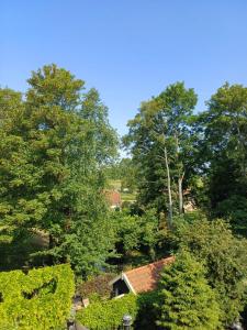 een uitzicht vanaf het dak van een huis met bomen bij Vince appartement Culemborg in Culemborg
