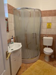 uma casa de banho com um chuveiro, um WC e um lavatório. em Braun vendégház em Sárospatak