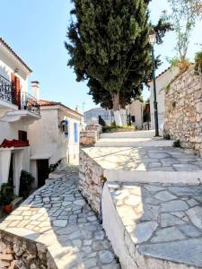 una pasarela de piedra con un árbol y un edificio en Traditional House Mataki, en Skiathos