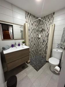 ein Bad mit einer Dusche, einem WC und einem Waschbecken in der Unterkunft MIRADOR SAN ROQUE in Las Palmas de Gran Canaria