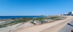 Příroda nedaleko prázdninového domu