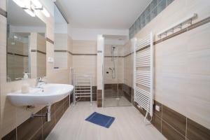 Koupelna v ubytování Šedivinské apartmány - rodinné apartmány v Orlických horách + 37 fotografií
