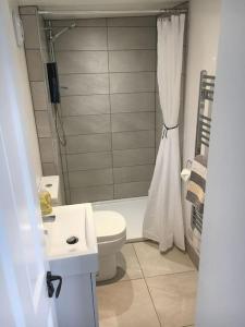 a bathroom with a shower and a toilet and a sink at Brighton Boutique Garden Studio with Free Parking in Brighton & Hove