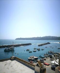 a group of boats in the water at a harbor at "La Terrazza" Corricella in Procida