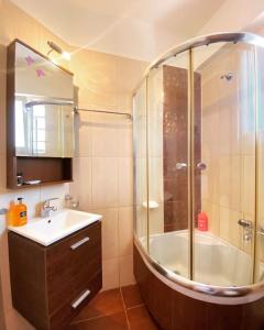 a bathroom with a shower and a sink and a tub at Villa Lagonisi in Aghia Marina