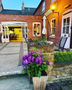 uma casa com flores roxas em frente em The Limes Hotel em Stratford-upon-Avon