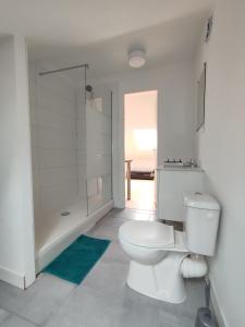 ein Badezimmer mit einem weißen WC und einer Dusche in der Unterkunft Le Clos du Parc Galamé in Loon-Plage