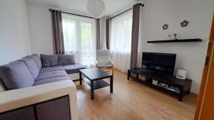 Televízia a/alebo spoločenská miestnosť v ubytovaní Apartmán Pálenica II