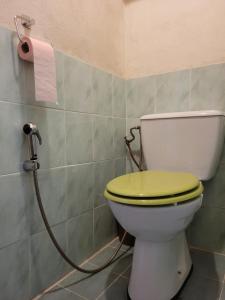 ein Bad mit einem WC und einem gelben Deckel in der Unterkunft Logement entier et calme 55m2 avec SPA - sauna et borne de recharge 7KW in Meyreuil