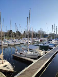 a bunch of boats docked at a dock at Maison 6 personnes animaux acceptés in Marennes
