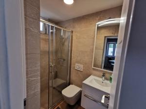 La salle de bains est pourvue d'une douche, de toilettes et d'un lavabo. dans l'établissement Villa Lamanova, à Rovinj