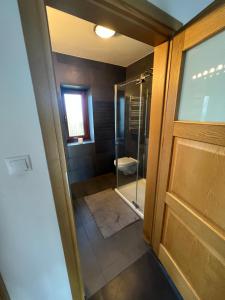 baño con ducha y puerta de cristal en Dom pod klonami, en Szczytno