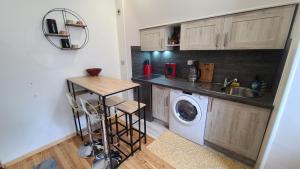 eine Küche mit einer Waschmaschine und einem Waschbecken in der Unterkunft CHIC & MODERNE au coeur de la vie embrunaise in Embrun