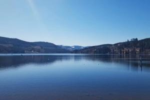 een groot waterlichaam met bergen op de achtergrond bij FeWo-Mitten In Schwarzwald in Titisee-Neustadt
