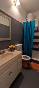 a bathroom with a toilet and a blue shower curtain at Apartmani Niko Drašnice in Drašnice