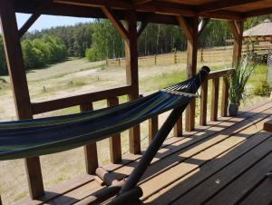 a hammock on a porch with a view of a field at Osada nad żurawim stawem in Krzywogoniec