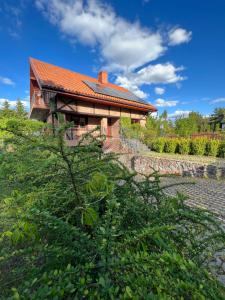 a house with a red roof and a tree at Dom pod klonami in Szczytno