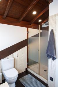 a bathroom with a toilet and a glass shower at Aticos La Riba in Luanco