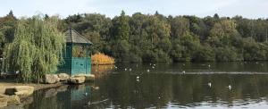a gazebo sitting in the middle of a lake at Home in Alwoodley, Leeds
