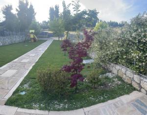 Gallery image of SANI Green K3 in Sani Beach