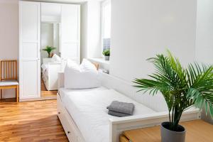 a white room with a bed and a potted plant at Apartments am Hauptbahnhof in Rostock