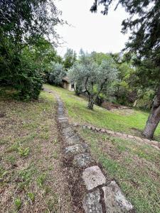 un chemin en pierre dans un champ arboré dans l'établissement La Casina, à L'Ugolino