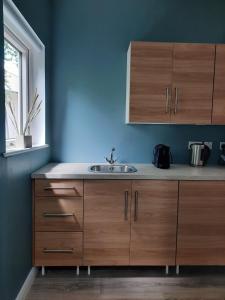 a kitchen with wooden cabinets and a sink at Studio in Letterkenny