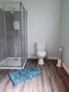 baño con ducha y aseo con alfombra azul en Studio en Letterkenny