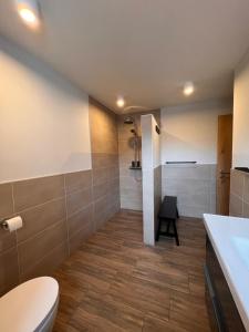 uma casa de banho com um WC e um lavatório em Chic lodge-apartments em Ehrwald