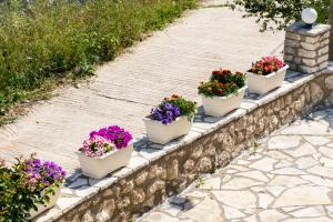 A garden outside Nikoleta Studio 5